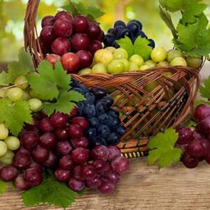 خواص انگور، 11 مورد از خاصیت ها و مضرات مصرف انگور