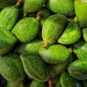 خواص و مضرات چغاله بادام برای بارداری، لاغری و پوست