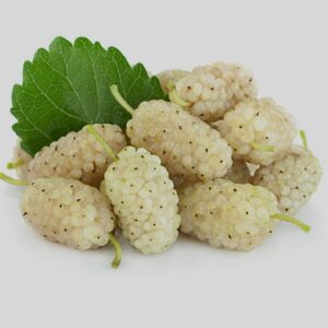 خواص توت سفید، 11 مورد از خواص و مضرات دارویی توت سفید