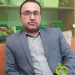 عامر فیضی