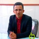 محمدرضا سلمانی کلان