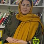 نیر ارسلانی