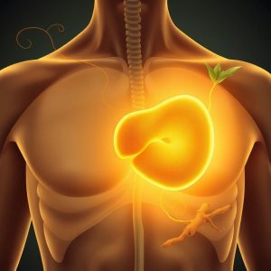 درمان پولیپ کیسه صفرا دکتر خیراندیش: رویکردهای جامع طب سنتی و نوین