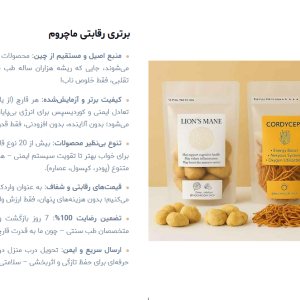 افتتاح تخصصی ترین سایت قارچ درمانی در ایران افتتاح تخصصی ترین سایت قارچ درمانی در ایران